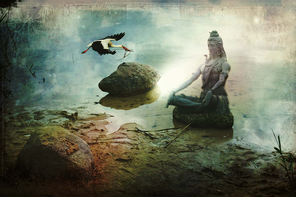 Shiva meditación